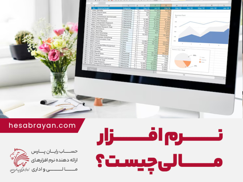 نرم افزار مالی چیست؟